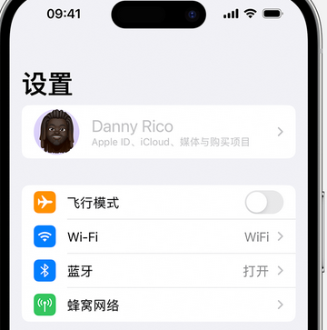 莒县appleID维修服务iPhone设置中Apple ID显示为灰色无法使用 