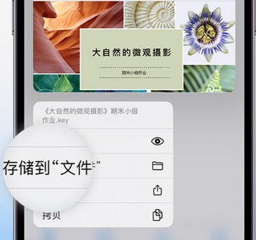 莒县apple维修中心分享iPhone文件应用中存储和找到下载文件