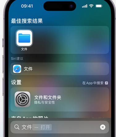 莒县apple维修中心分享iPhone文件应用中存储和找到下载文件 