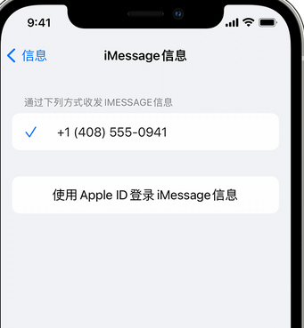 莒县apple维修iPhone上无法正常发送iMessage信息 