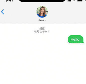 莒县apple维修iPhone上无法正常发送iMessage信息