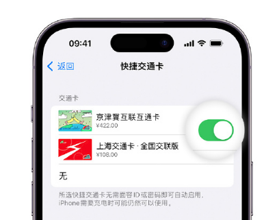 莒县apple维修点分享iPhone上更换Apple Pay快捷交通卡手绘卡面 