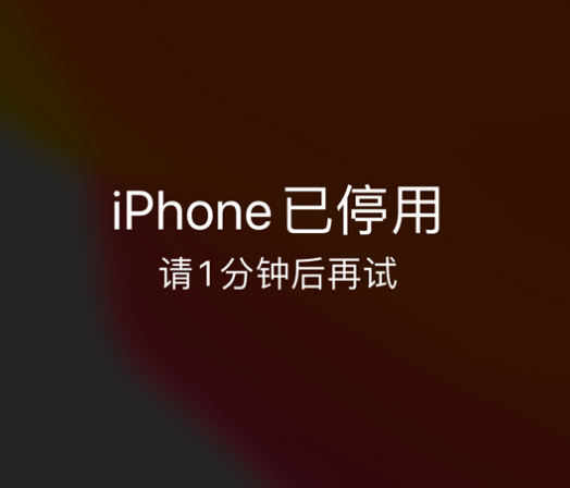 莒县苹果手机维修分享:iPhone 显示“不可用”或“已停用”怎么办？还能保留数据吗？ 