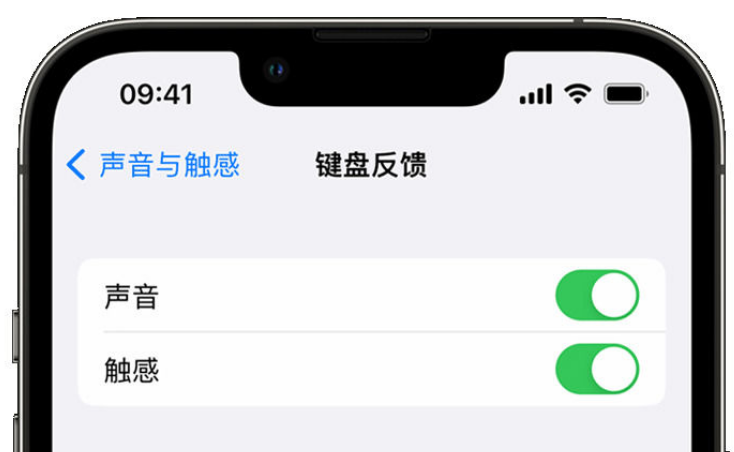 莒县苹果手机维修分享iPhone 14触感键盘使用方法 