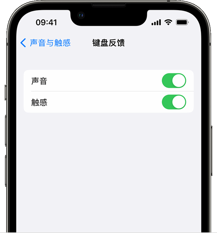 莒县苹果14维修店分享如何在 iPhone 14 机型中使用触感键盘 