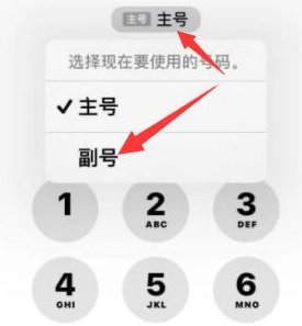 莒县苹果14维修店分享iPhone 14 Pro Max使用副卡打电话的方法 