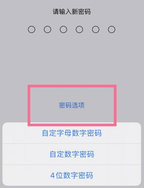 莒县苹果14维修分享iPhone 14plus设置密码的方法 