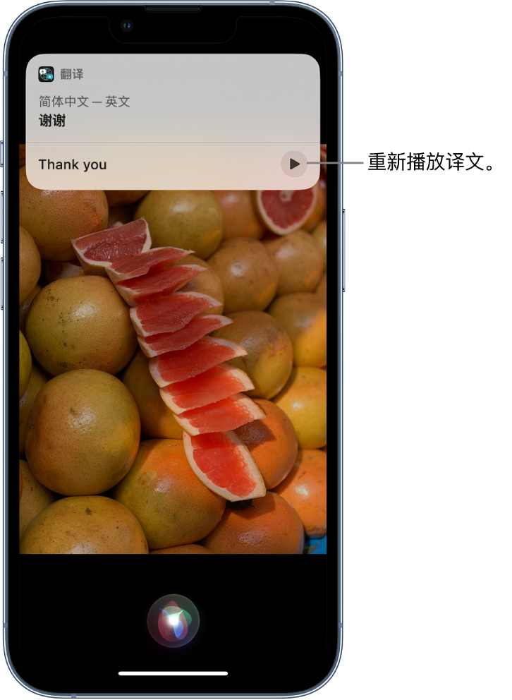 莒县苹果14维修分享 iPhone 14 机型中使用 Siri：了解 Siri 能帮你做什么 