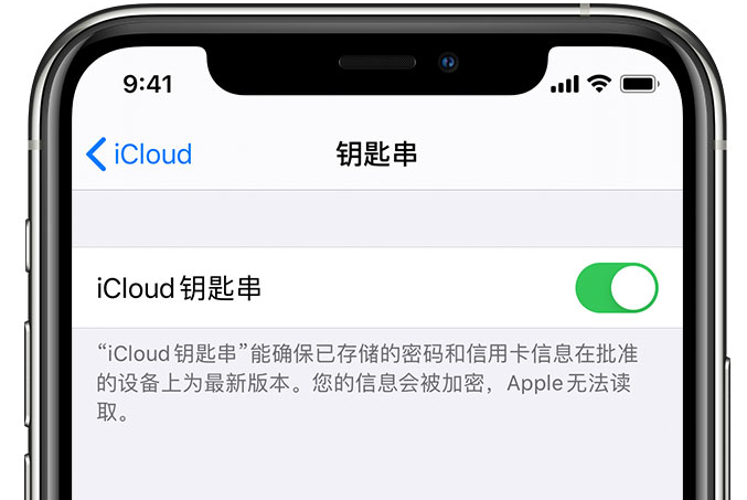 莒县苹果手机维修分享在 iPhone 上开启 iCloud 钥匙串之后会储存哪些信息 