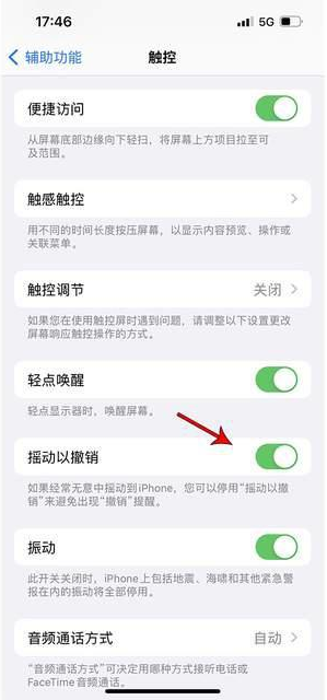 莒县苹果手机维修分享iPhone手机如何设置摇一摇删除文字 