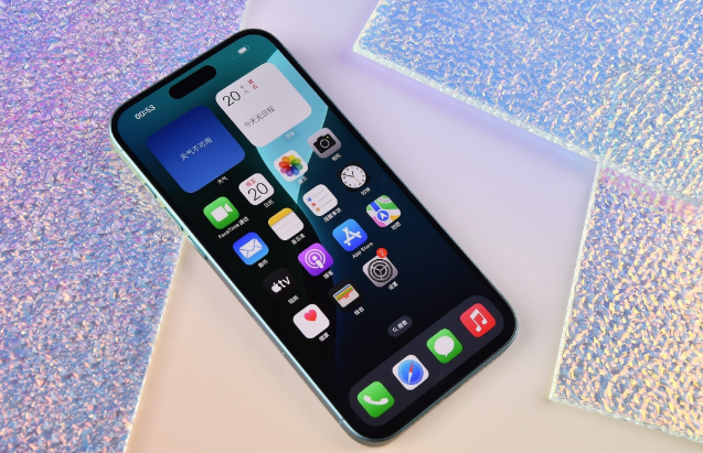 莒县苹果手机维修分享为什么大家不喜欢苹果iPhone 16 Plus 