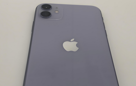 莒县苹果11系统维修分享iPhone11手机系统崩溃无法开机如何解决
